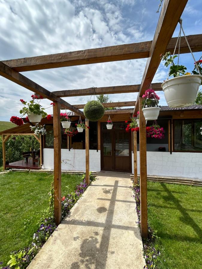 Willa Casa Eden Fit Faget  Zewnętrze zdjęcie